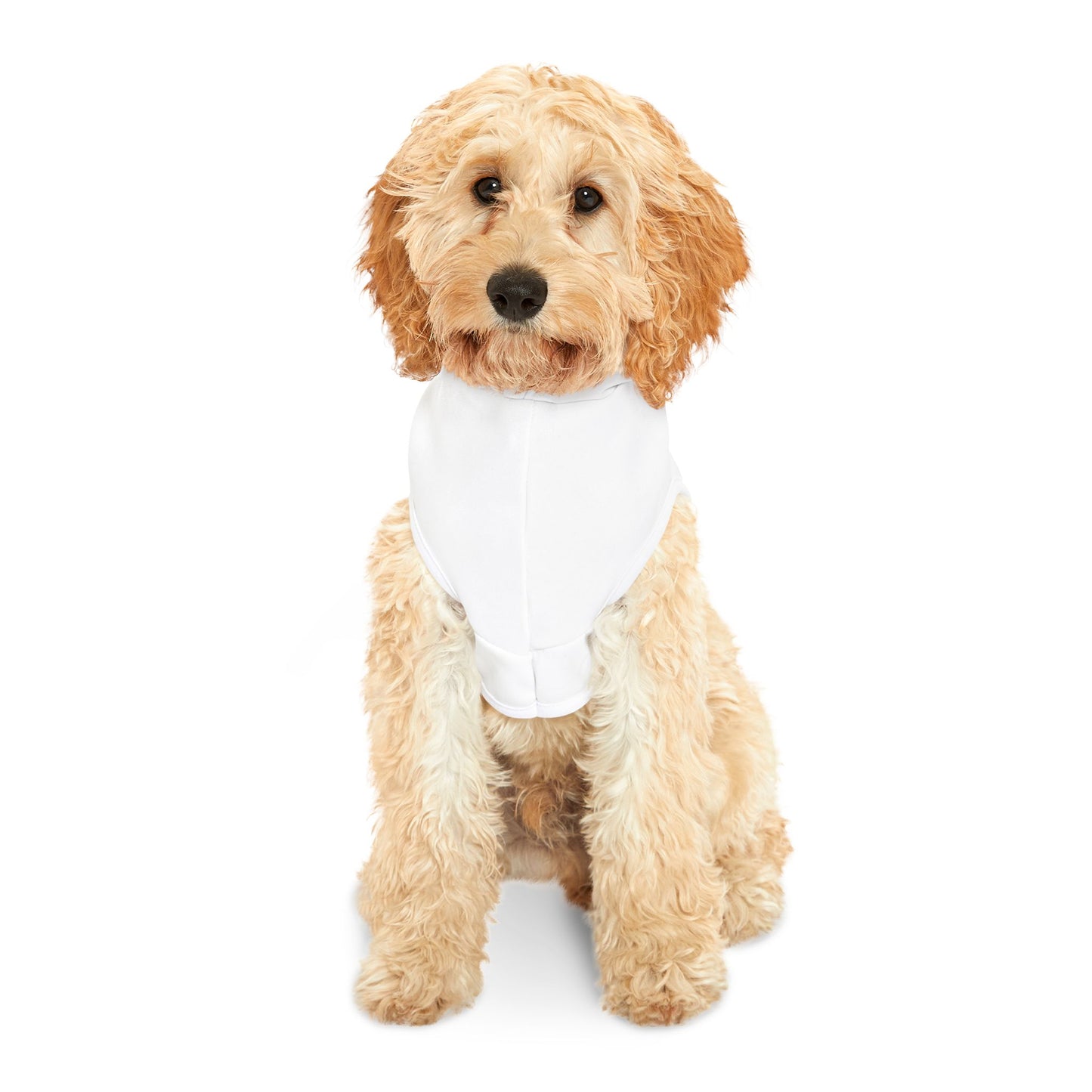 2025 National Harbor - Pet Hoodie