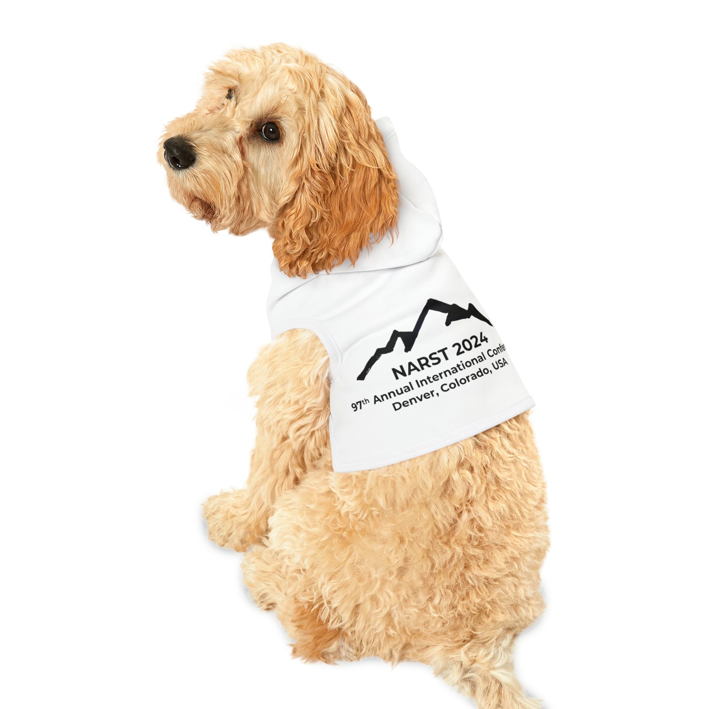 Denver 2024 - Pet Hoodie