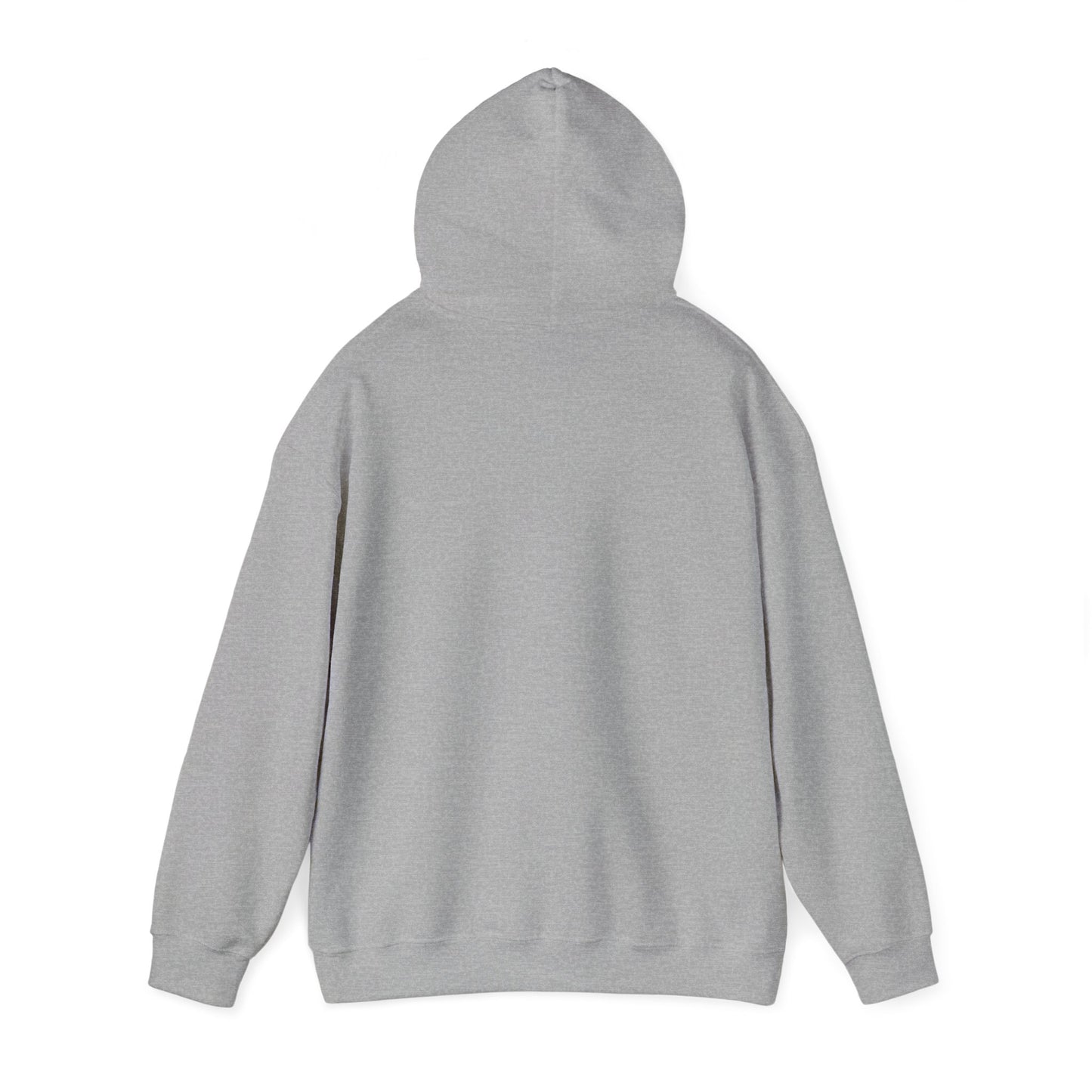 Denver 2024 - Unisex Heavy Blend™ Hooded Sweatshirt