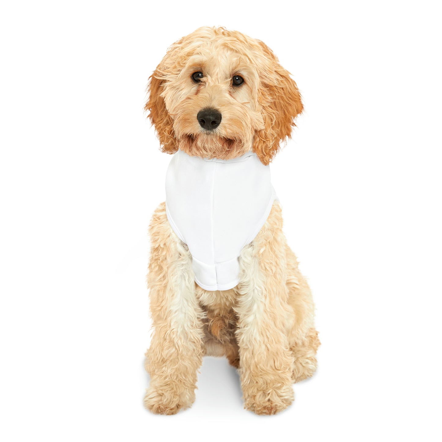 Denver 2024 - Pet Hoodie